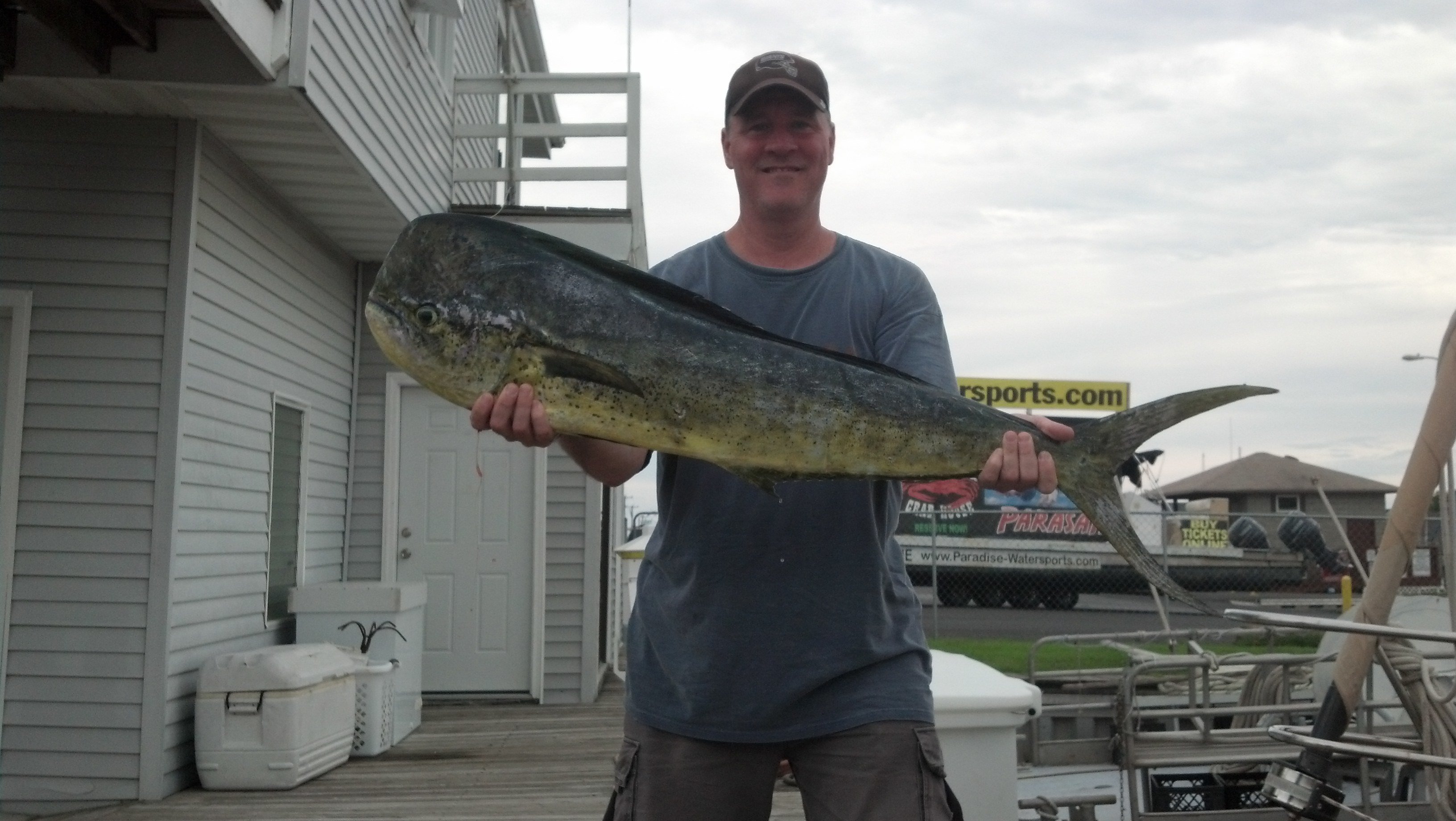 mahi offshore charter fishing
