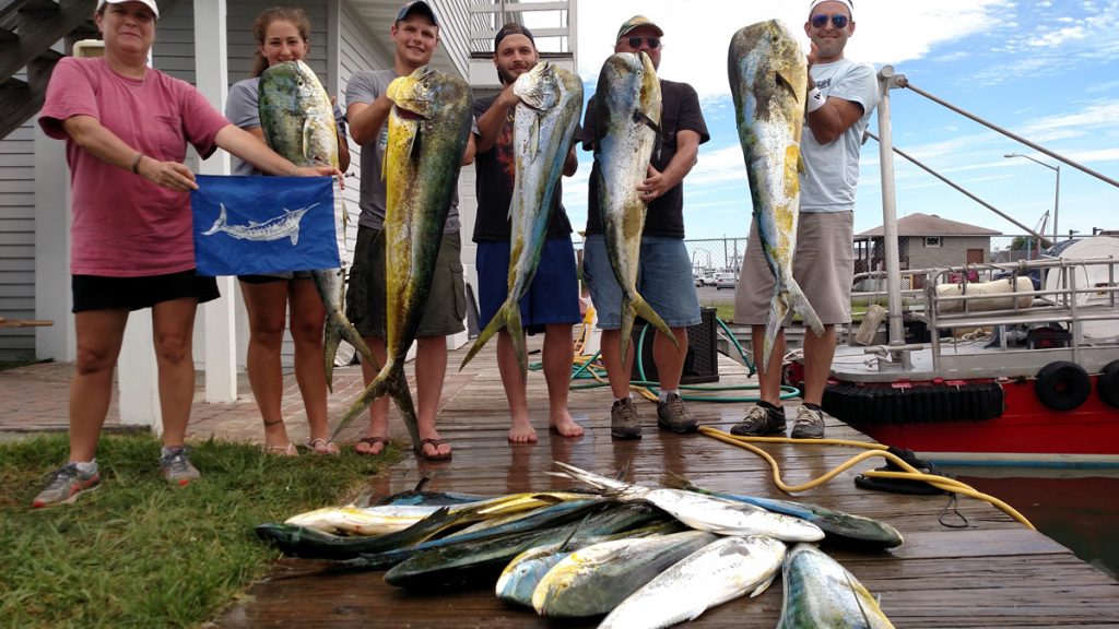 400 Pound Thresher Shark, More Tunas and Big Sea Bass - Ocean City MD  Fishing